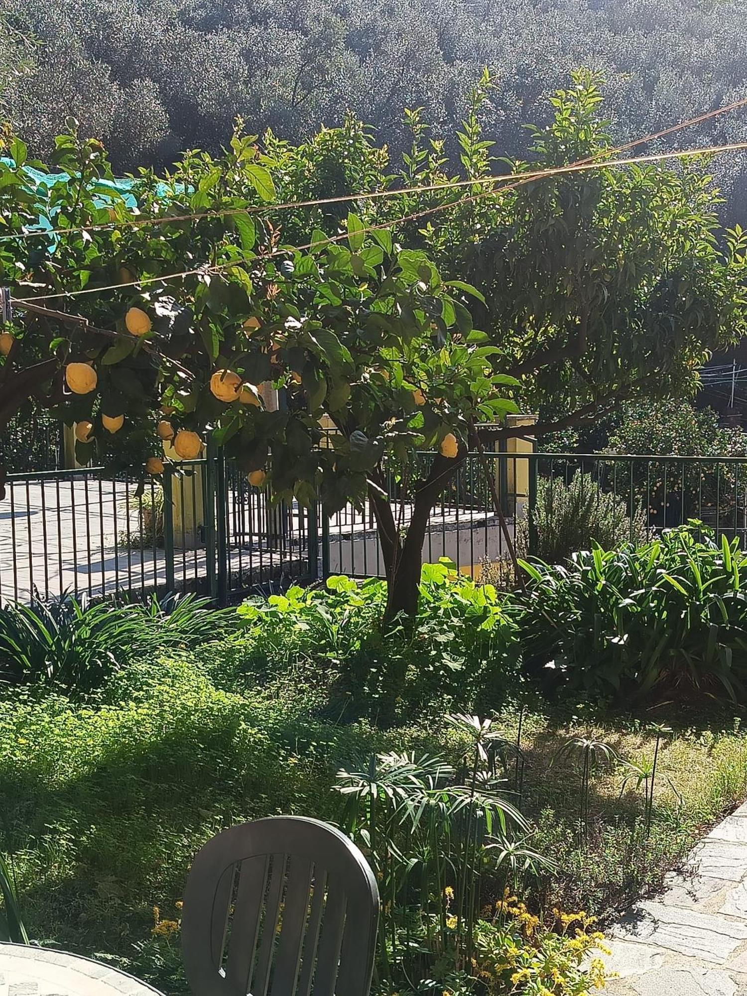 Chez Diego With Ac And Garden Monterosso al Mare Exteriör bild